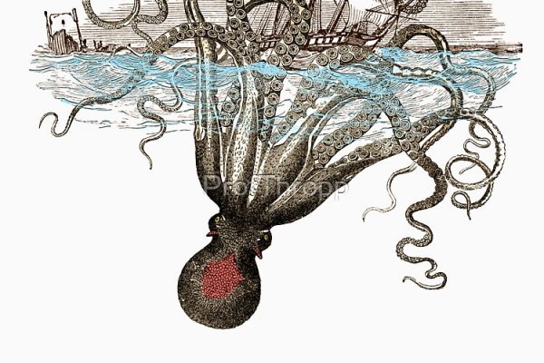 Kraken url