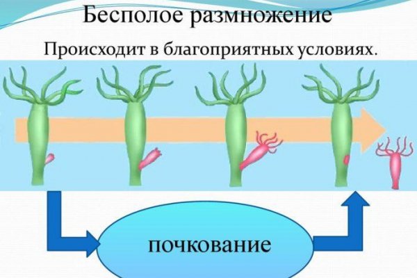 Ссылка кракен официальная тор