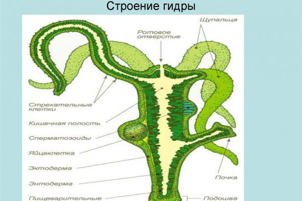 Ссылка кракена kraken clear com